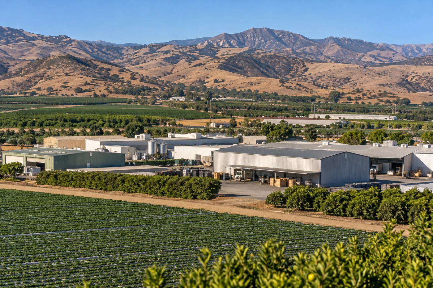 Commercial Roofing in Saticoy and Wells, Ventura, CA